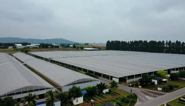 深圳网站制作公司选择不同推广方式的取舍